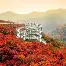 详细阅读:s15外围德罗巴主场落户苏州常州赛后发声的简单介绍 s15外围德罗巴主场落户苏州常州赛后发声的简单介绍
